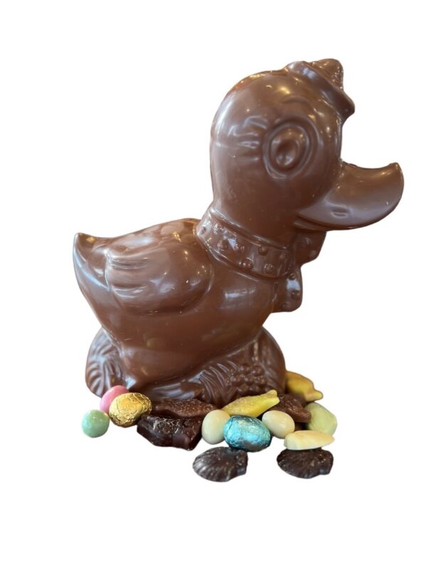 Canard